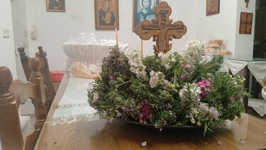 Κυριακή της Σταυροπροσκυνήσεως: Οι ροδαρές… μυρίζουν άνοιξη, στο μέσο της Σαρακοστής!