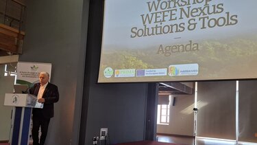 Νίκος Ξυλούρης, Λειψυδρία, Αρσενάλι