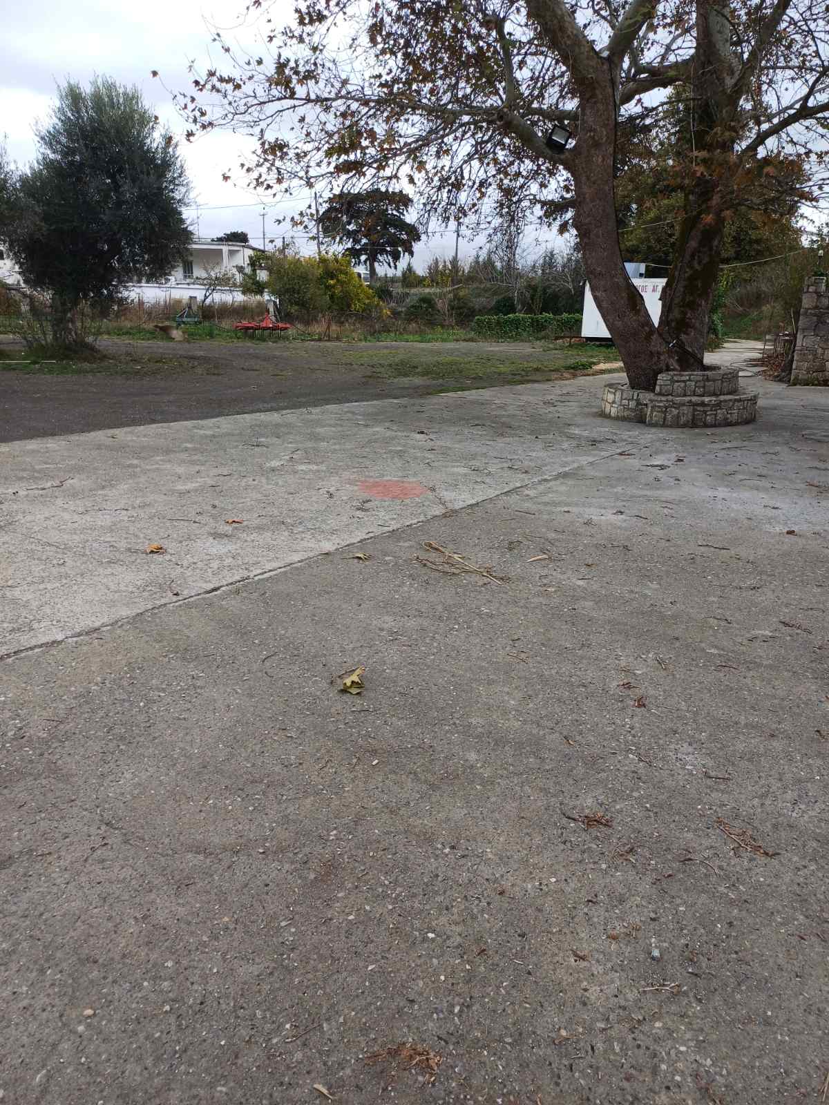 Στο Πράσινο Ταμείο πρόταση για την ανάπλαση της πλατείας Αγίου Βασιλείου