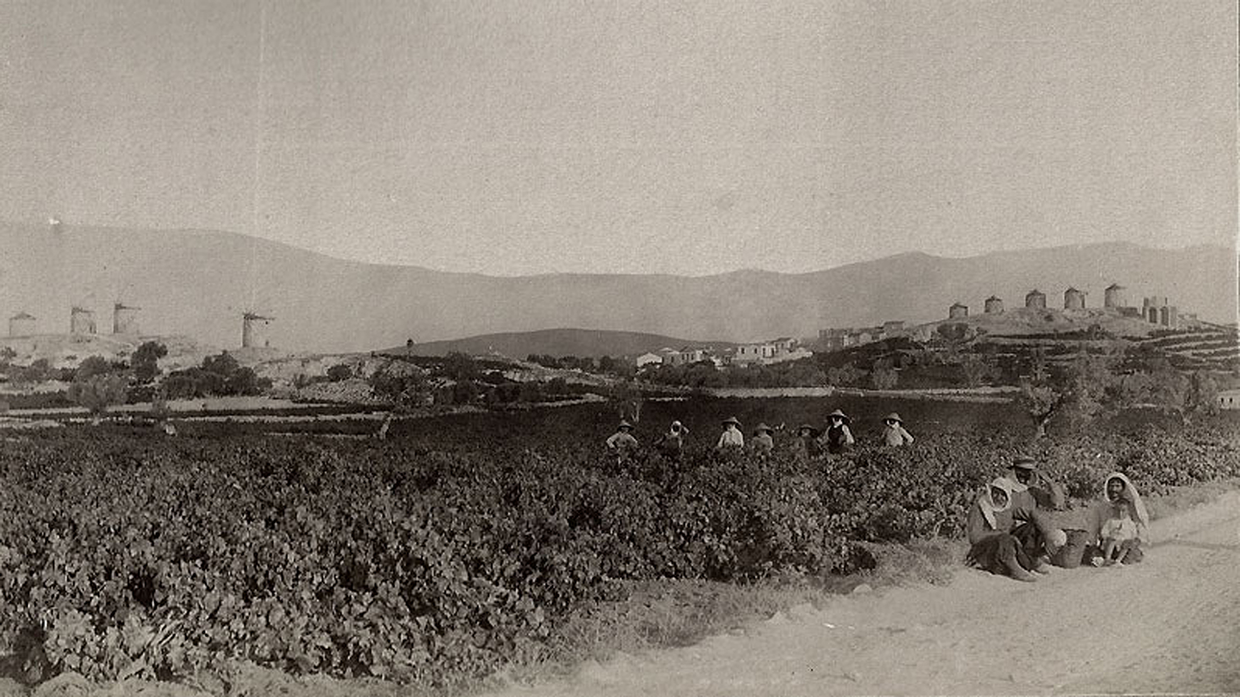  «Τσακιρμιζέ», ερωτικό τραγούδι Ερυθραίας Μικράς Ασίας