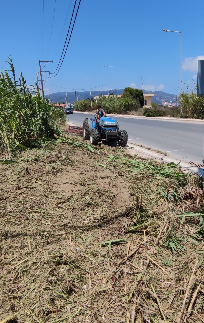 αποψιλώσεις καλλωπισμός κοινόχρηστοι χώροι αμμουδάρα Γάζι Πολύδροσο Δήμος Μαλεβιζίου Ηράκλειο
