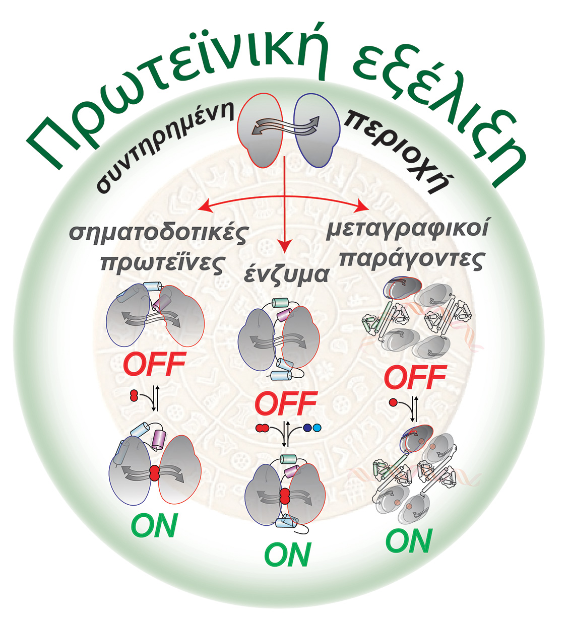 ιτε