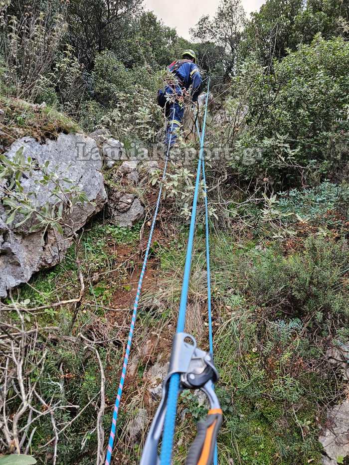 εμακ σκύλος γκρεμός κυνηγόσκυλο Φθιώτιδα