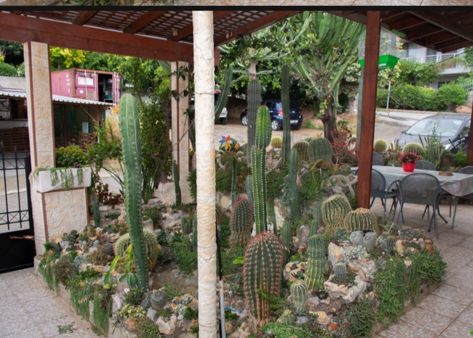 Με βραβεύσεις ολοκληρώθηκε ο περιβαλλοντικός διαγωνισμός «ΑνθίΖω την πόλη μου»