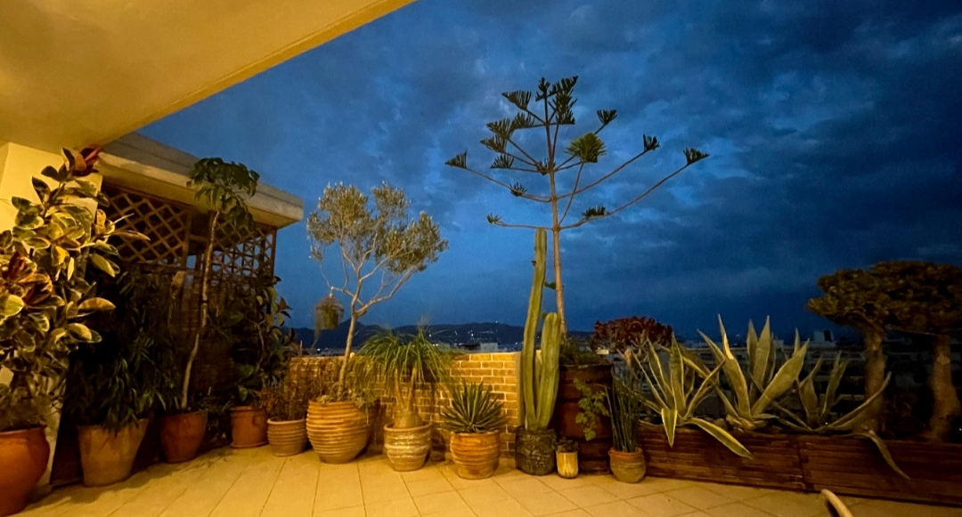 Με βραβεύσεις ολοκληρώθηκε ο περιβαλλοντικός διαγωνισμός «ΑνθίΖω την πόλη μου»