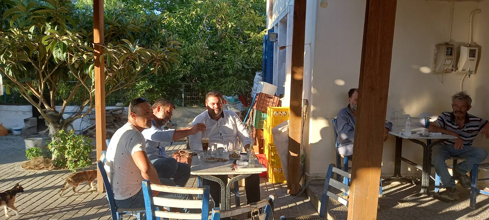 Τζεδάκης Μορόνι