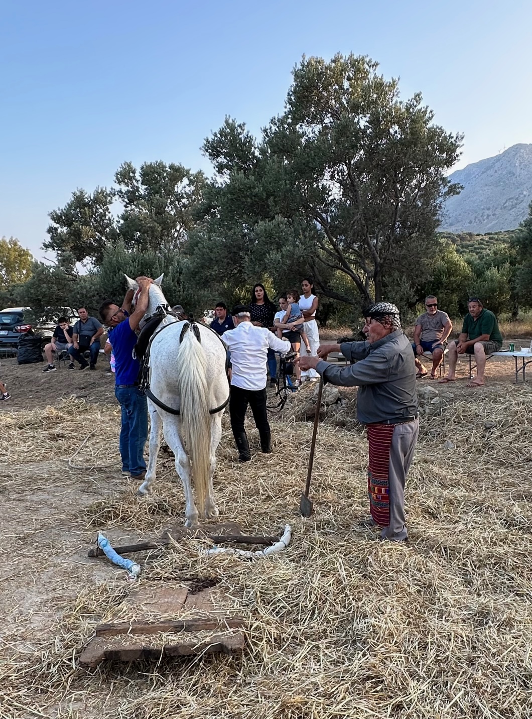 Αναβίωσε στην Μονή το παραδοσιακό αλώνισμα