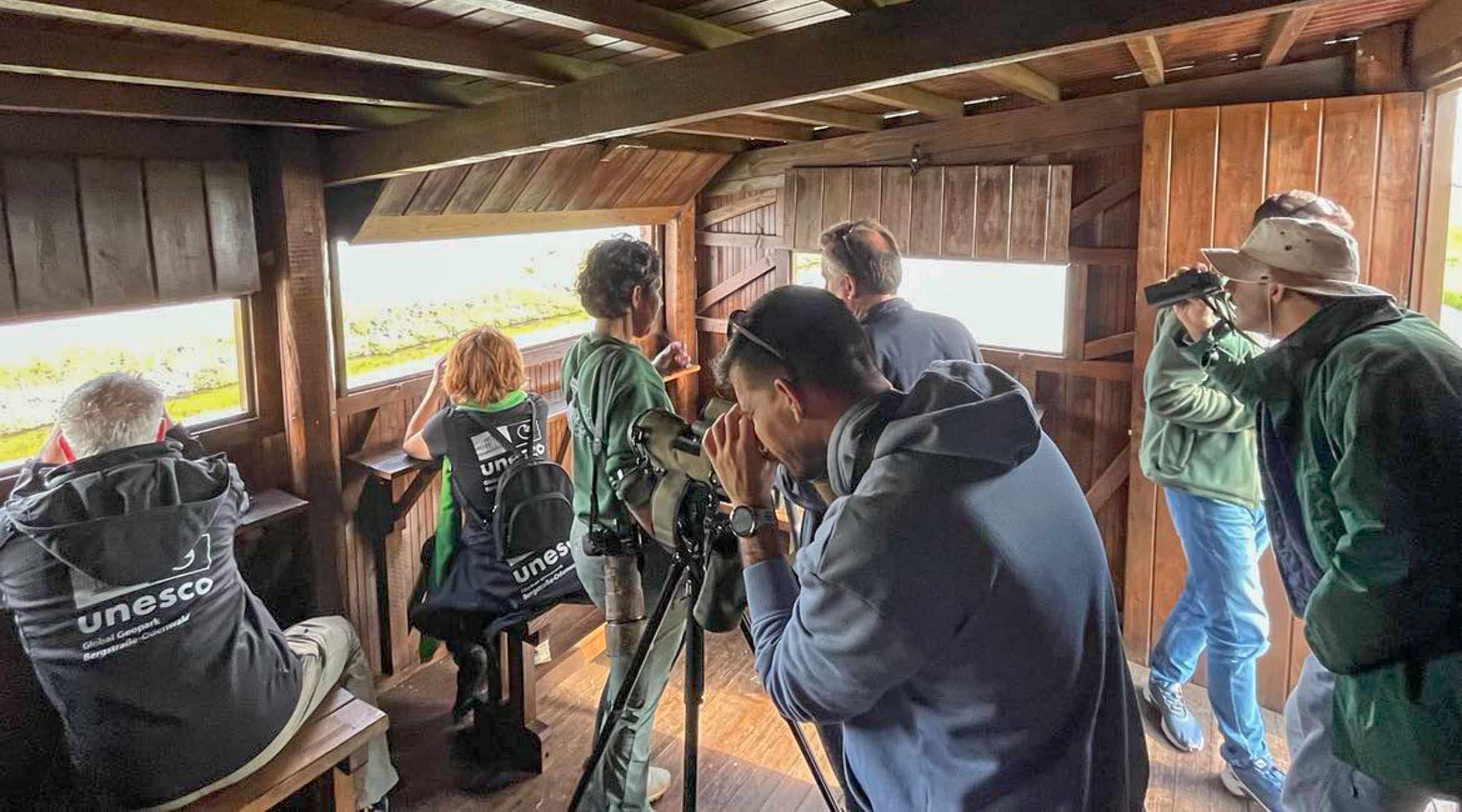 Λέσβος Μυτιλήνη Απολιθωμένο Δάσος Πτηνά Παρατήρηση