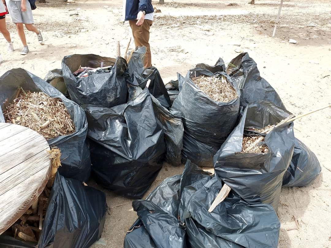 Περιβαλλοντική δράση από τους μαθητές του Πρότυπου – Πειραματικού Γυμνασίου στην παραλία της Παντάνασσας με την υποστήριξη του Δήμου Μαλεβιζίου