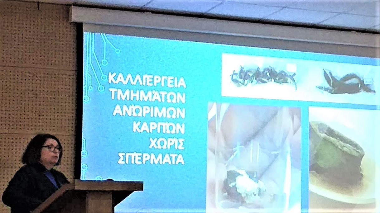 Παρουσίαση