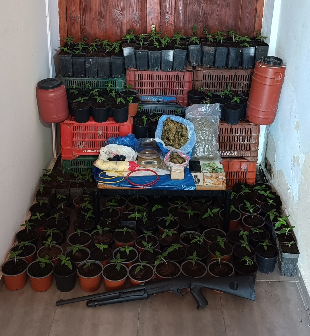 Συνελήφθη ημεδαπός για παραβάσεις της Νομοθεσίας περί ναρκωτικών ουσιών, όπλων και κατοχή εκρηκτικών υλών στο Ρέθυμνο