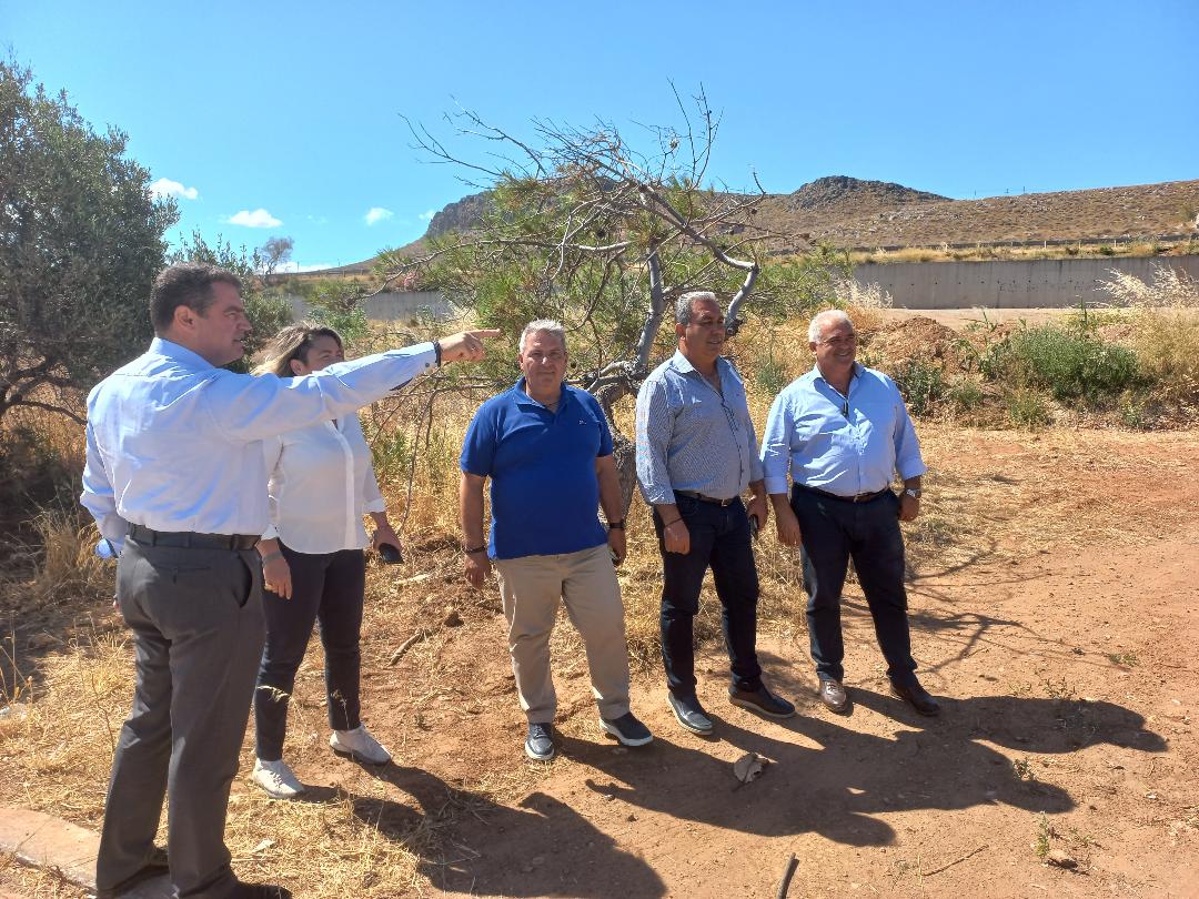 πολυδύναμο