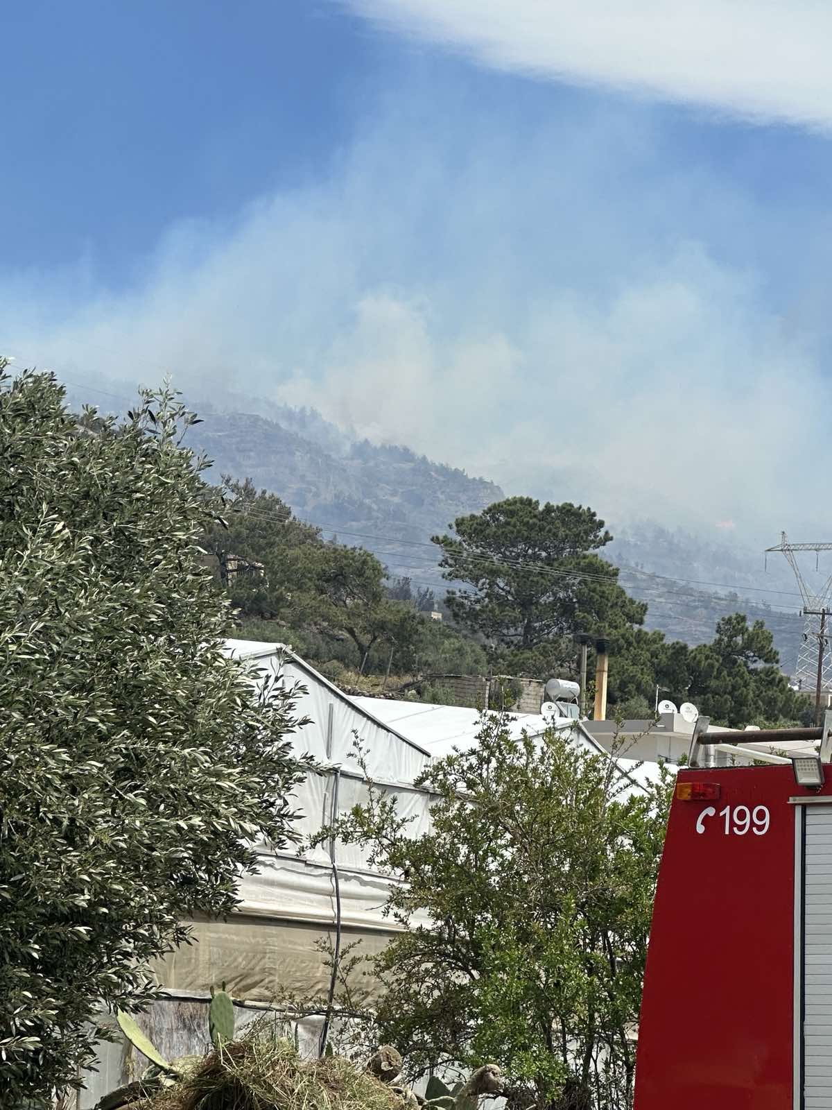 Στη φωτιά στην Ιεράπετρα βρέθηκε η Όλγα Μαρκογιαννάκη!