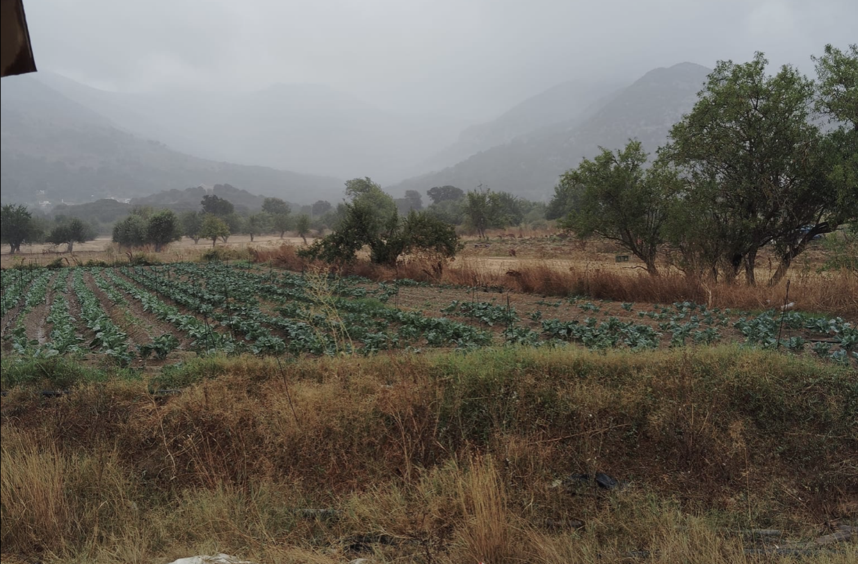 Φωτογραφία από ΜΕΤΕΩΚΡΗΤΕΣ