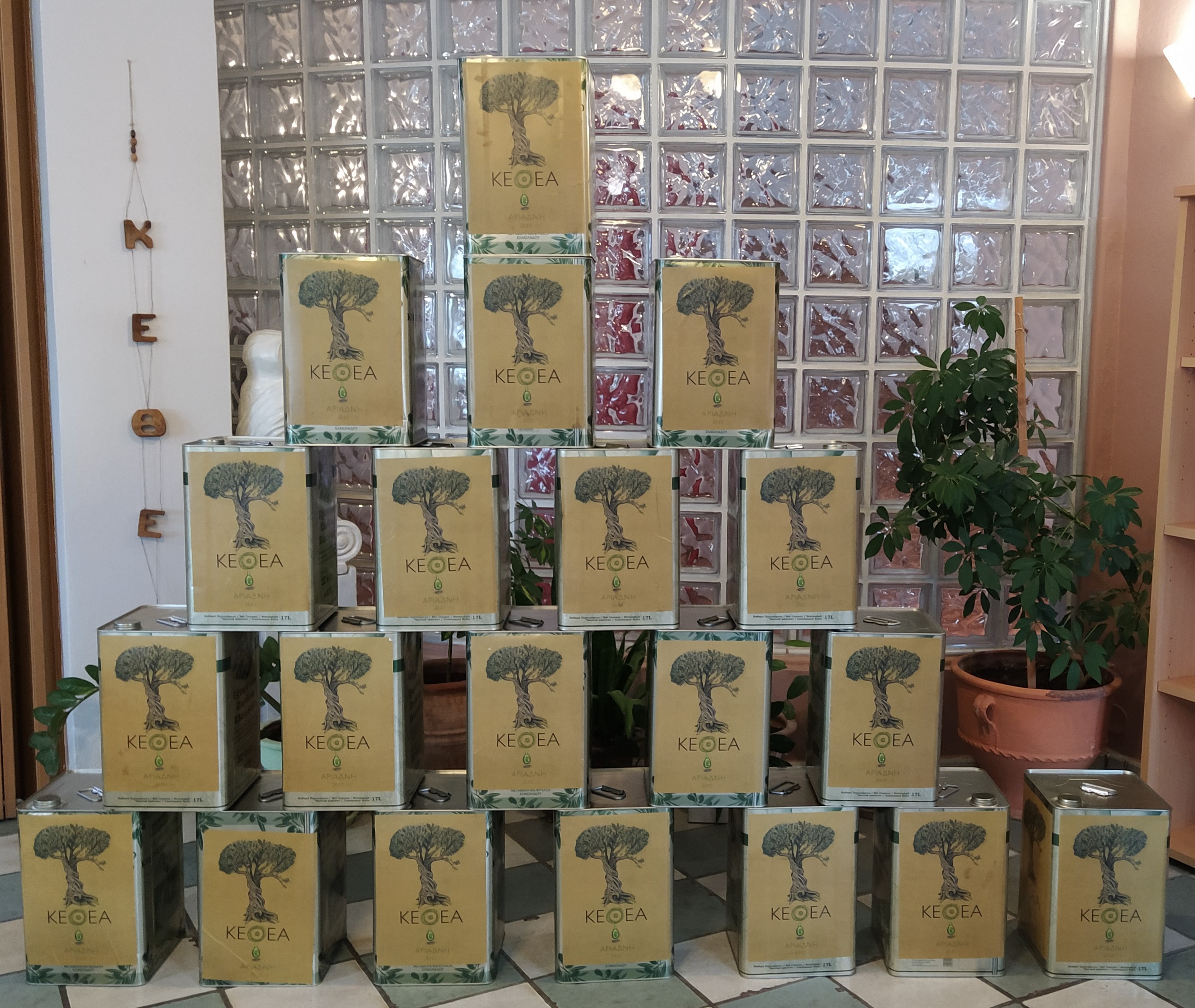 Δήμος Ηρακλείου ελαιόδεντρα οικογένειες κεθεα αριάδνη ηράκλειο