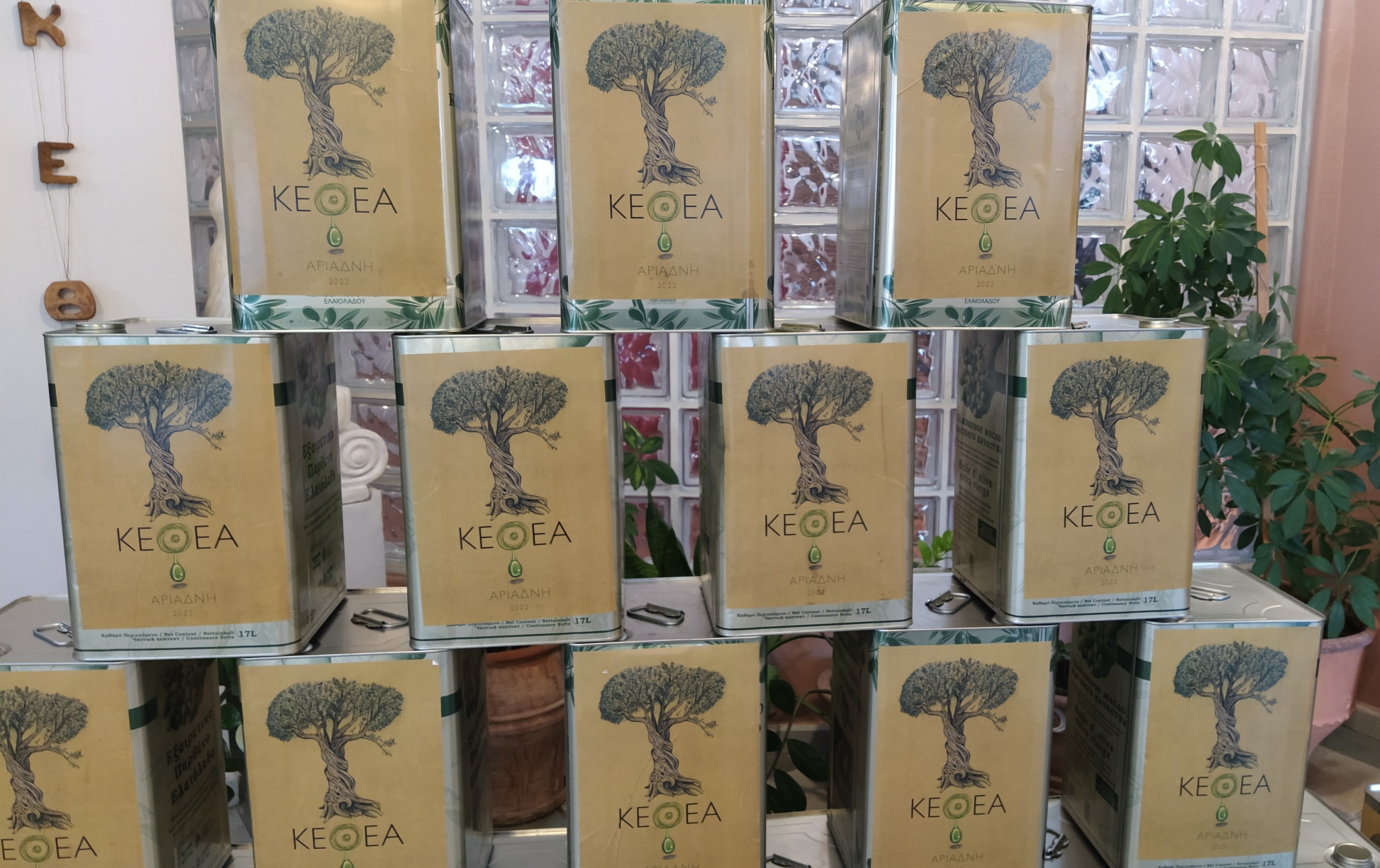 Δήμος Ηρακλείου ελαιόδεντρα οικογένειες κεθεα αριάδνη ηράκλειο