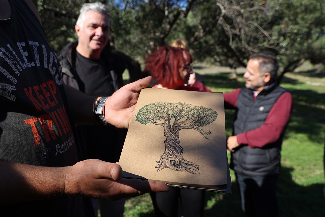 ελαιόδεντρα