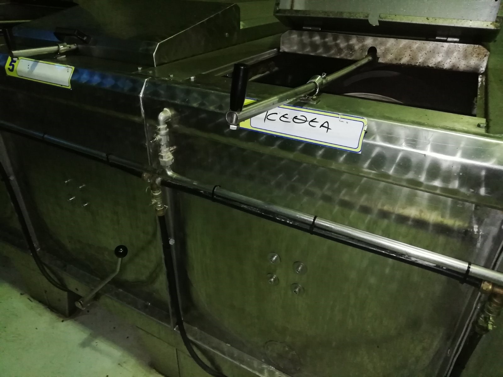 ελαιόδεντρα