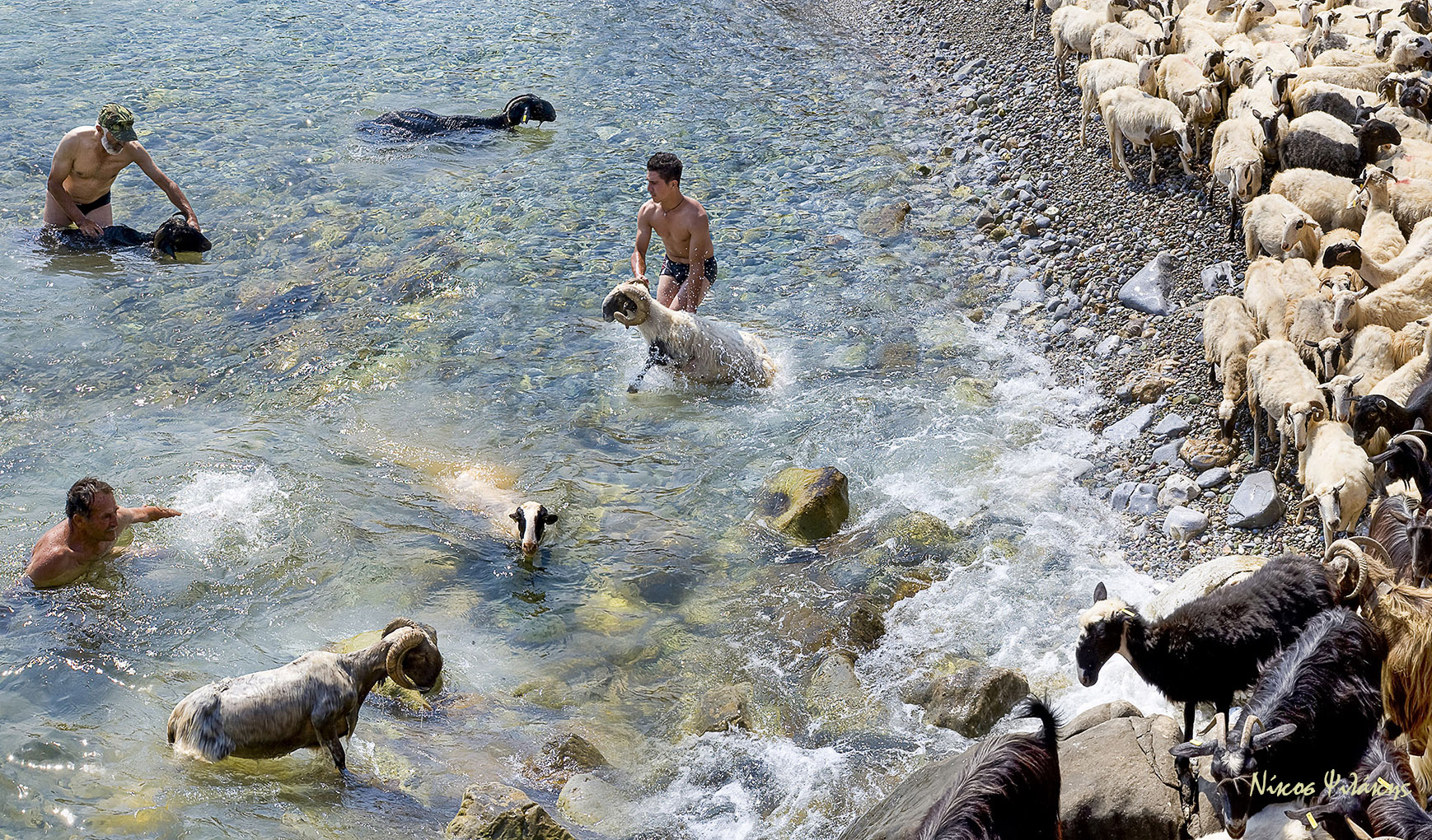 Ψιλάκης Έκθεση Φωτογραφία Ηράκλειο