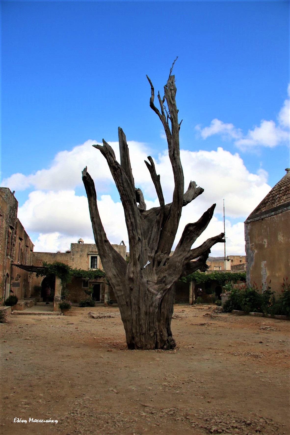 Tο Ολοκαύτωμα του Αρκαδίου… 