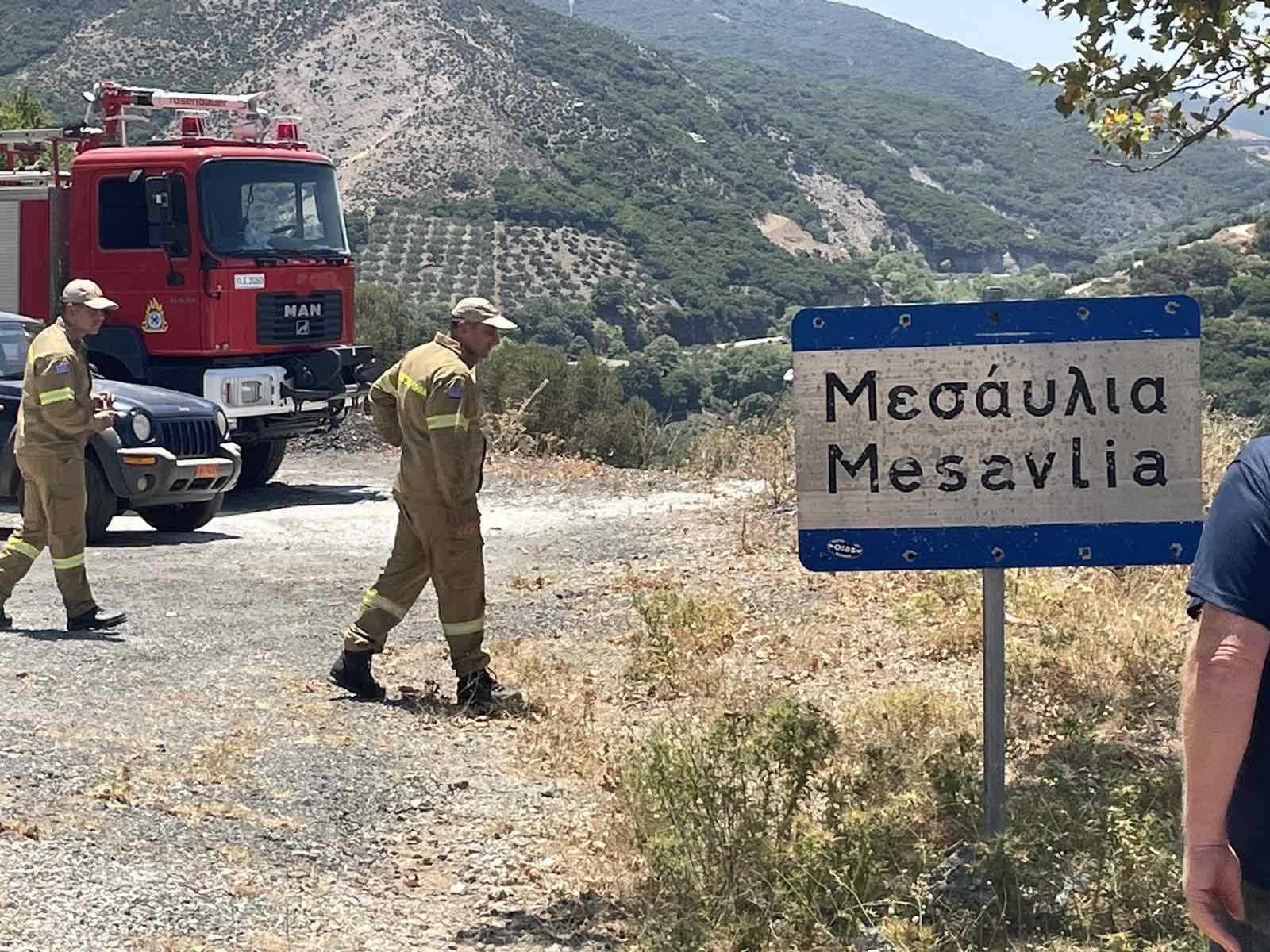 μεσαύλια