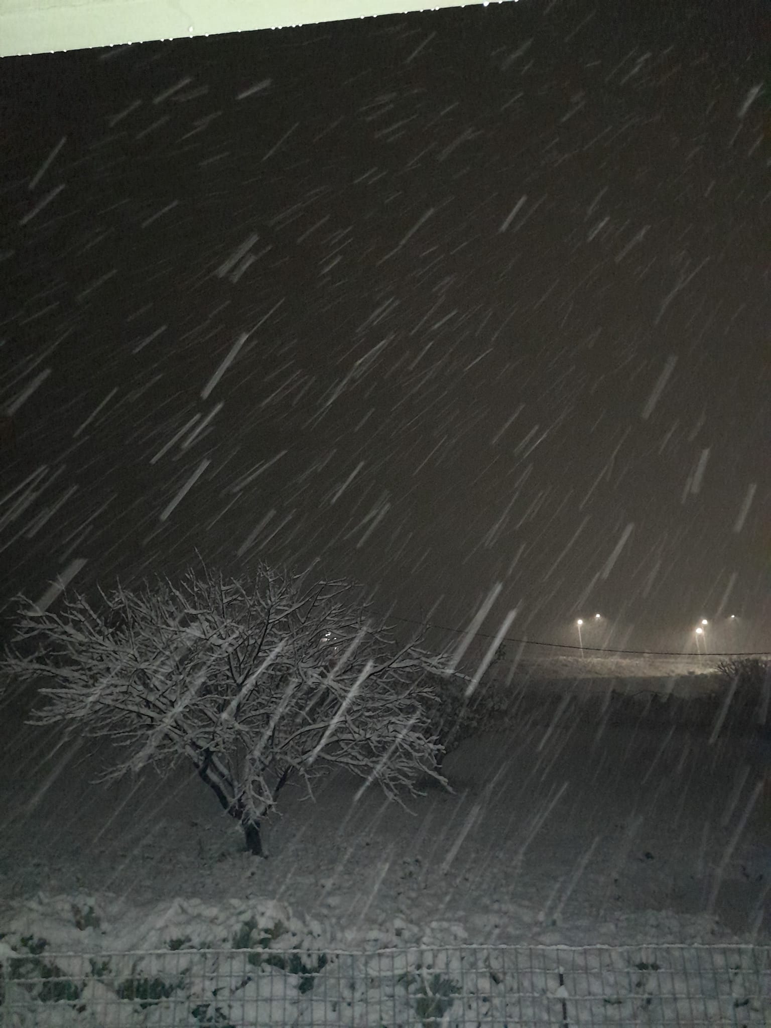 Χιόνισε τη νύχτα και στο Τεφέλι - φωτογραφία Στέλλα Τρούλη από ΜΕΤΕΩΚΡΗΤΕΣ