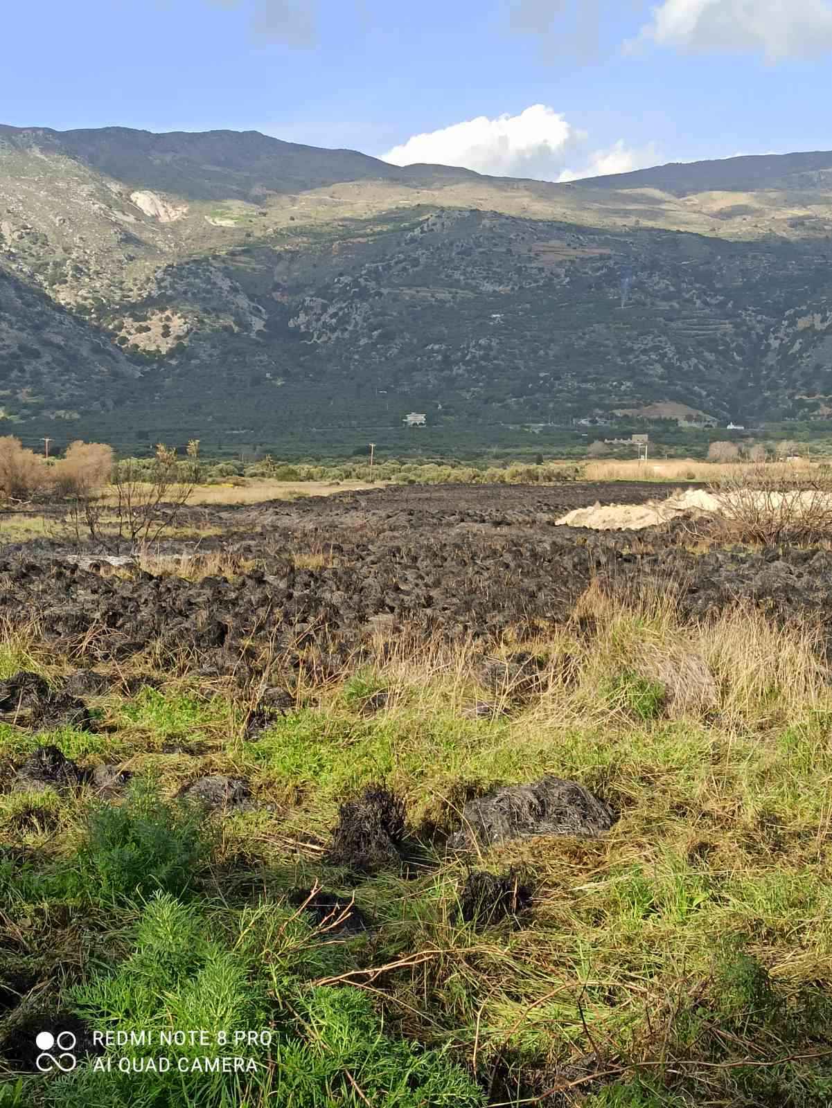 φωτιά βιάννος σύλληψη ηράκλειο πυροσβεστική