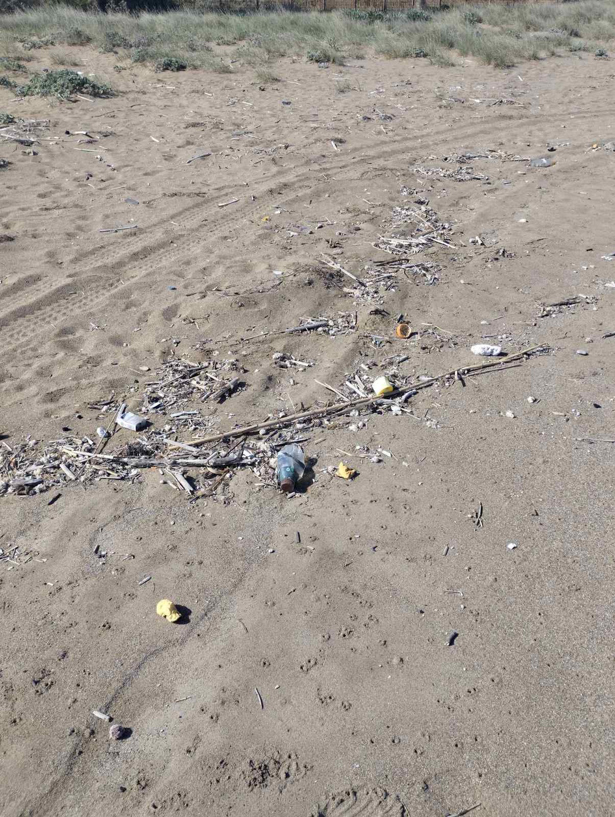 Οι "ΆΤΑΧΤΟΙ" καλούν σε δράση καθαρισμού για μικρούς και μεγάλους!