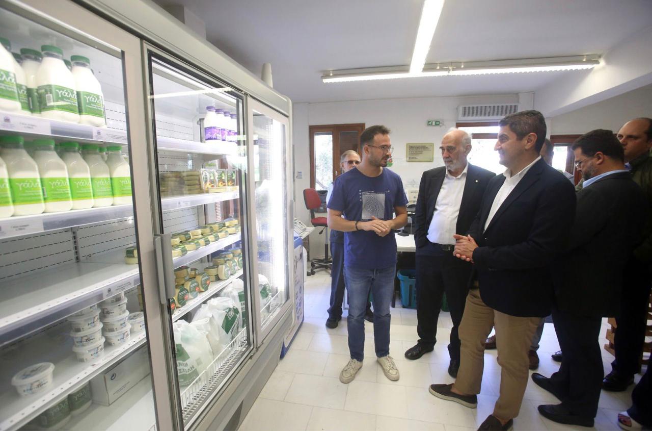 Αυγενάκης Αμερικανική Γεωργική Σχολή