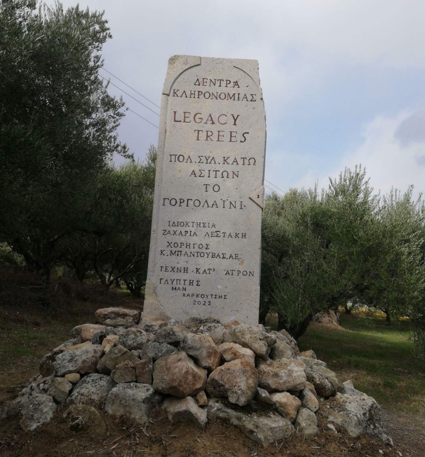 ελιά ασίτες