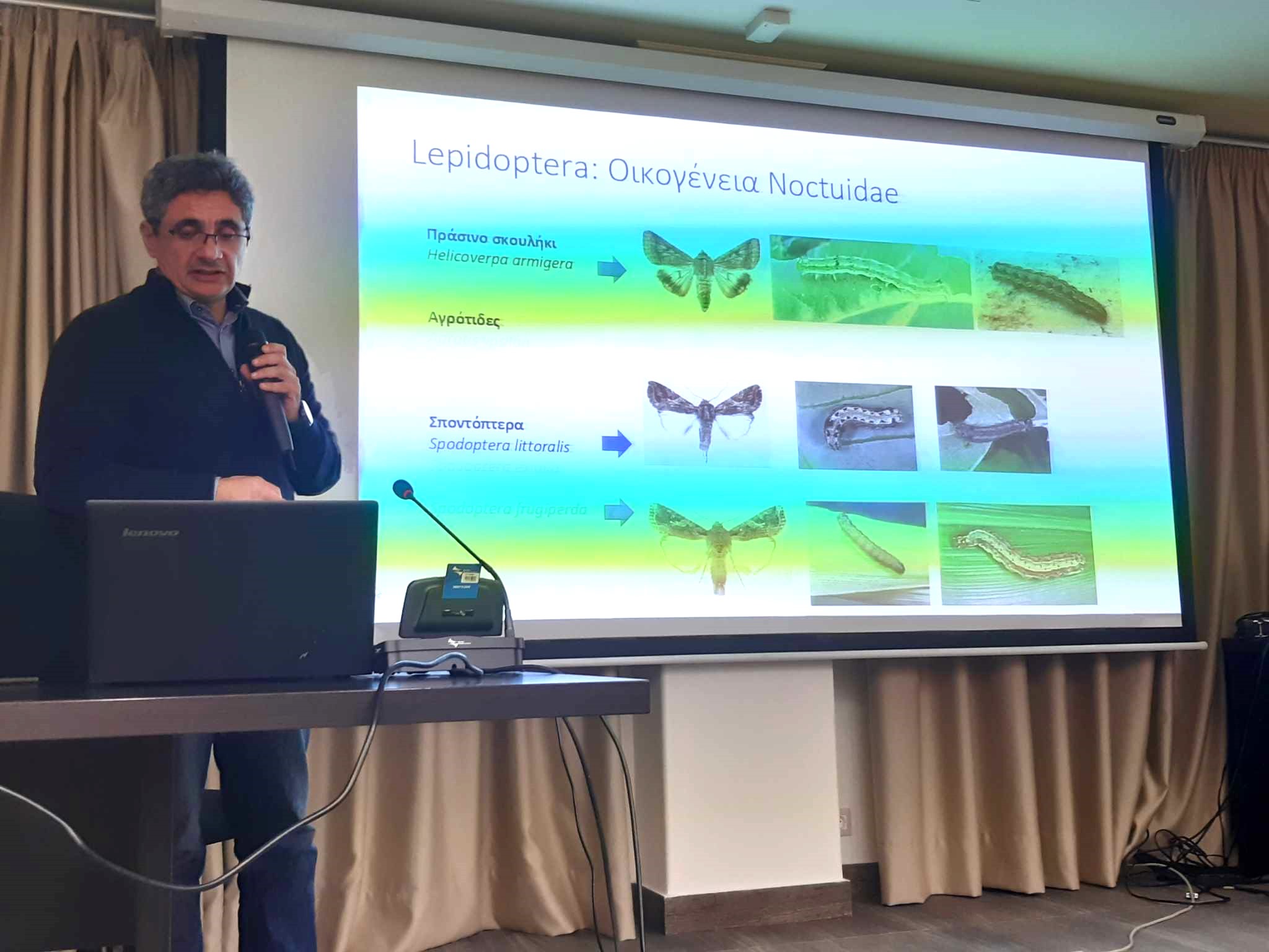 Spodoptera frugiperda Εσπερίδες Ιεράπετρα Αγρότες Χουδετσανάκη