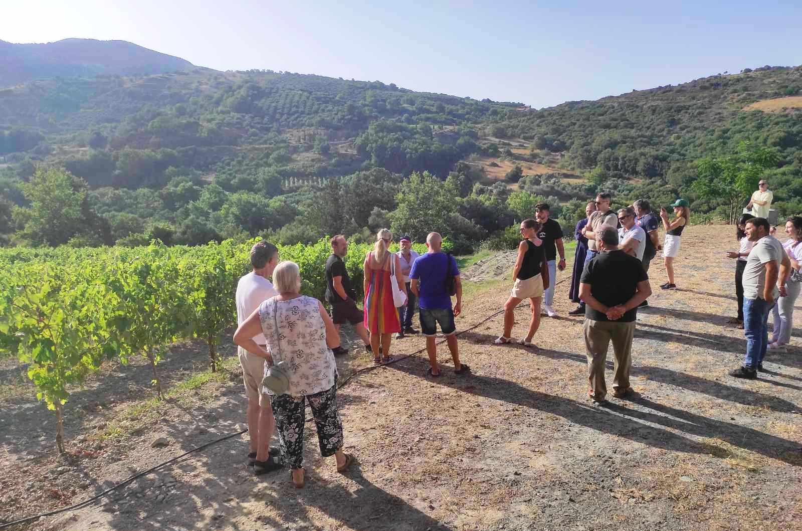 Αμάρι φεστιβαλ