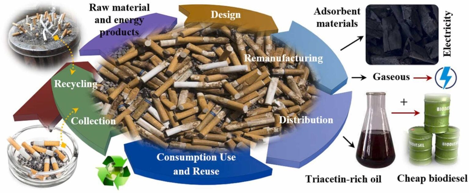 (Journal of Analytical and Applied Pyrolysis)
