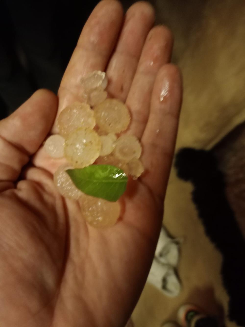 χαλκιδική χαλάζι