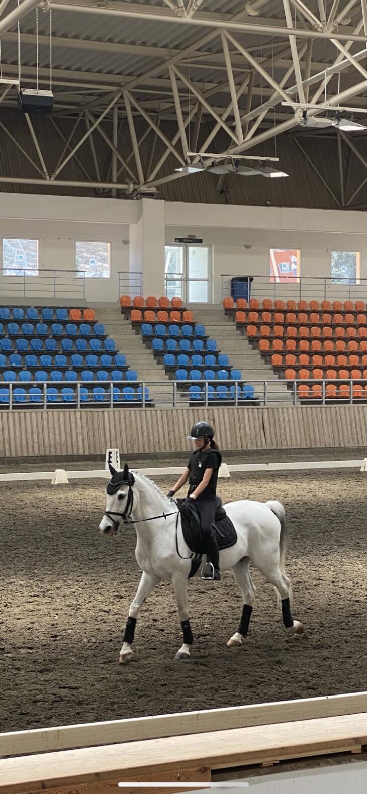 Αθηνά Ραφαέλα Μπικάκη