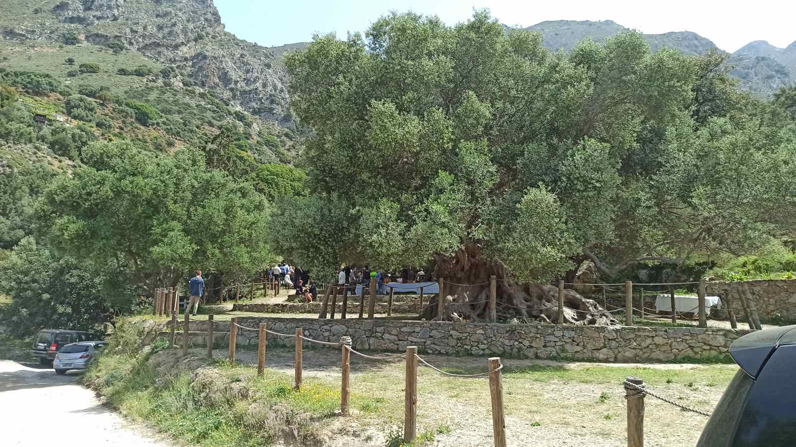 βοτανικό μονοπάτι