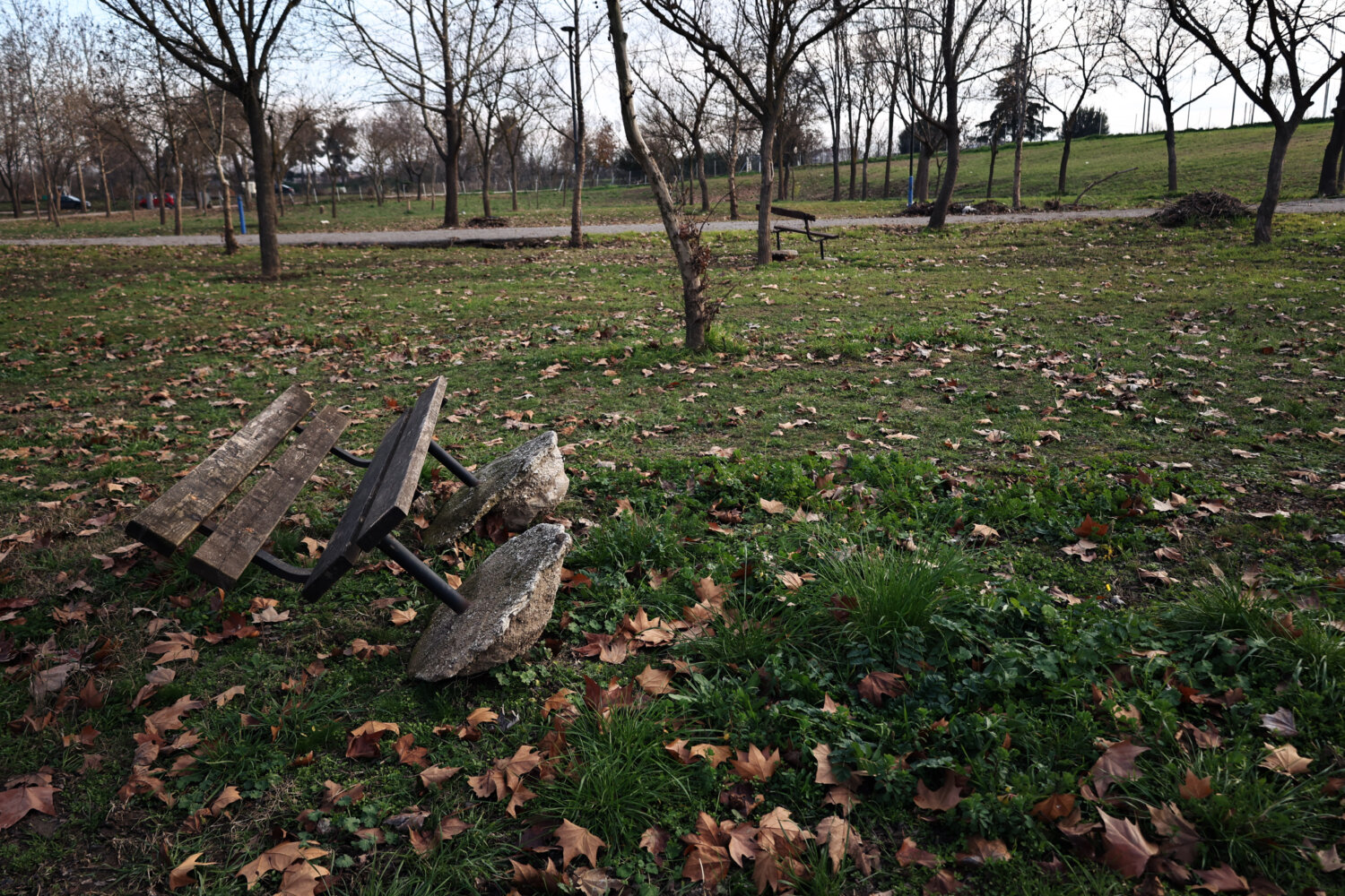 Άλσος Πλημμύρες