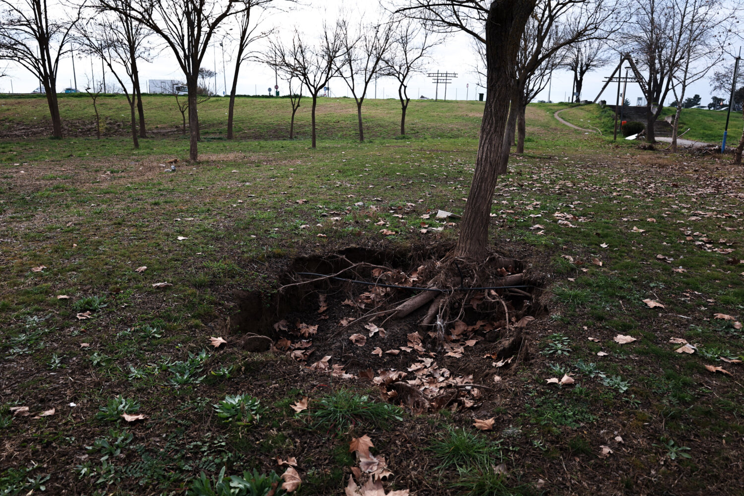 Άλσος Πλημμύρες