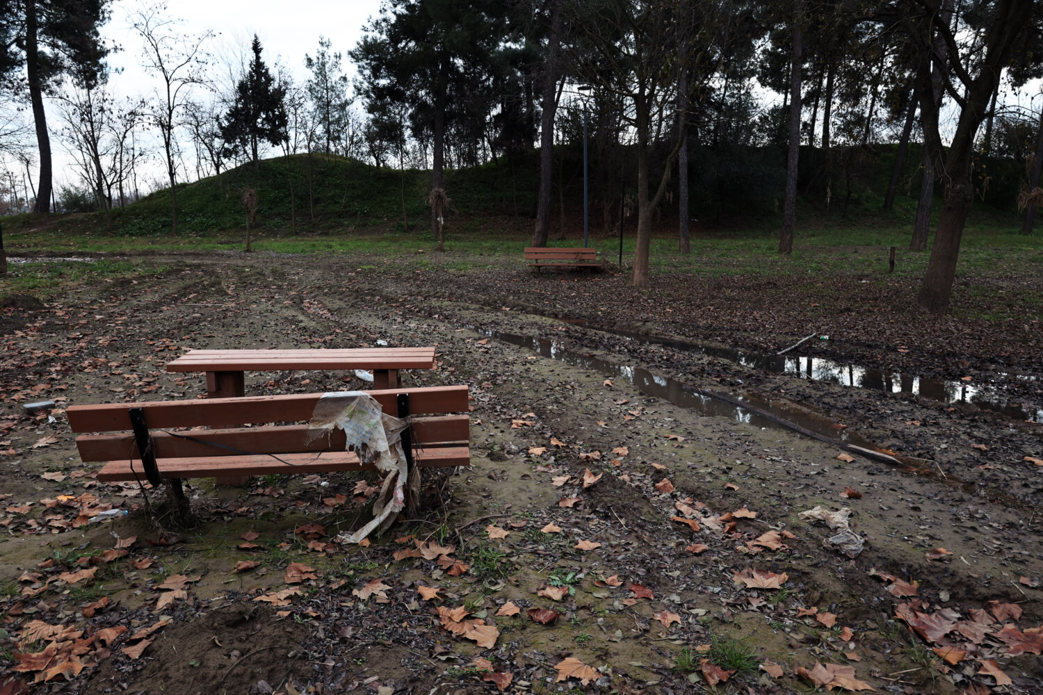 Άλσος Πλημμύρες