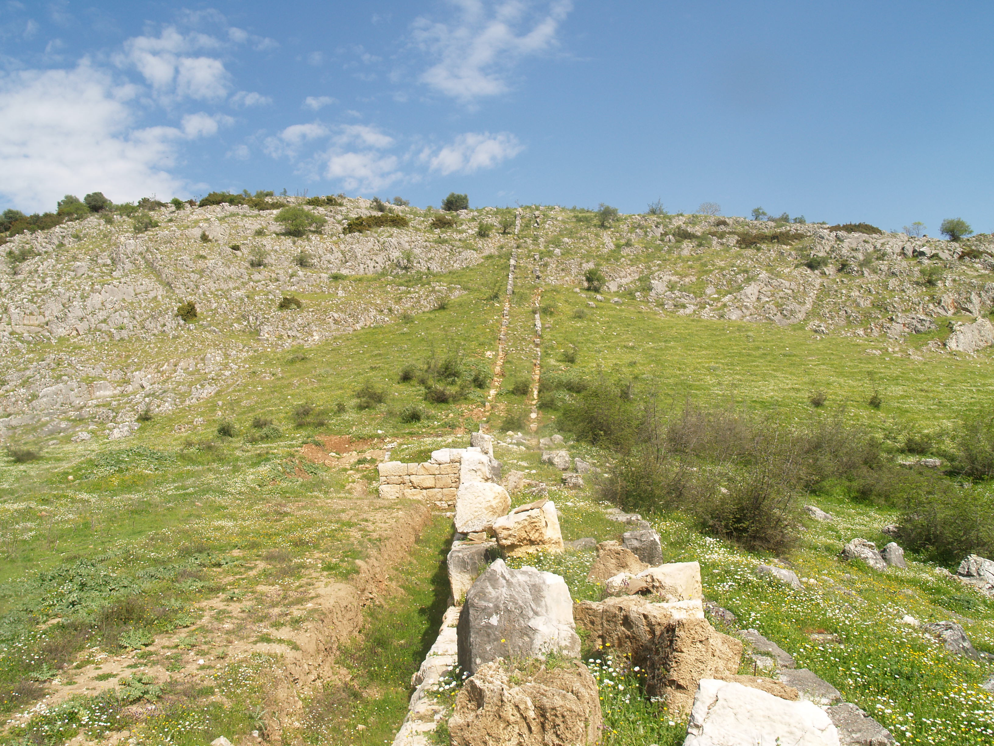 Τρίκαλα Διαιτολόγιο Δημητριακά Χόρτα