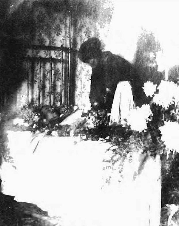 Το δάγκωμα της μαϊμούς στον βασιλιά και οι θεωρίες συνωμοσίας…