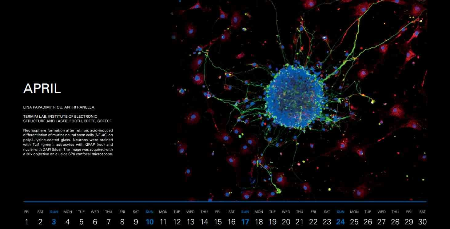 φωτογραφία