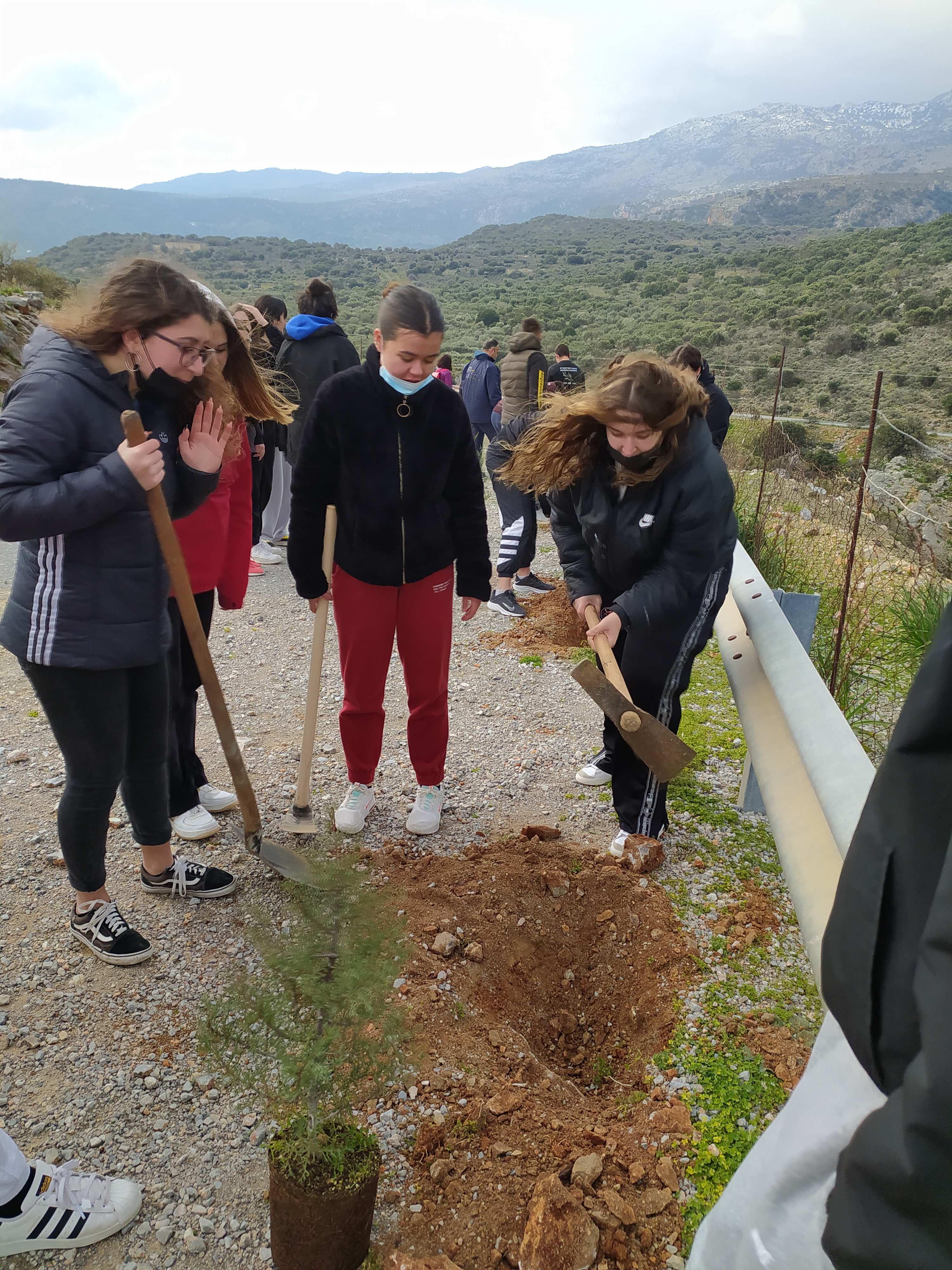 δεντροφύτευση