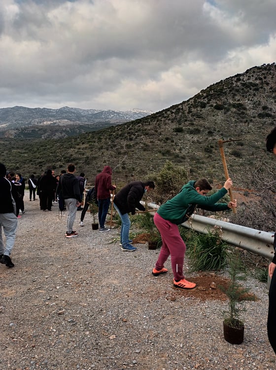 δεντροφύτευση