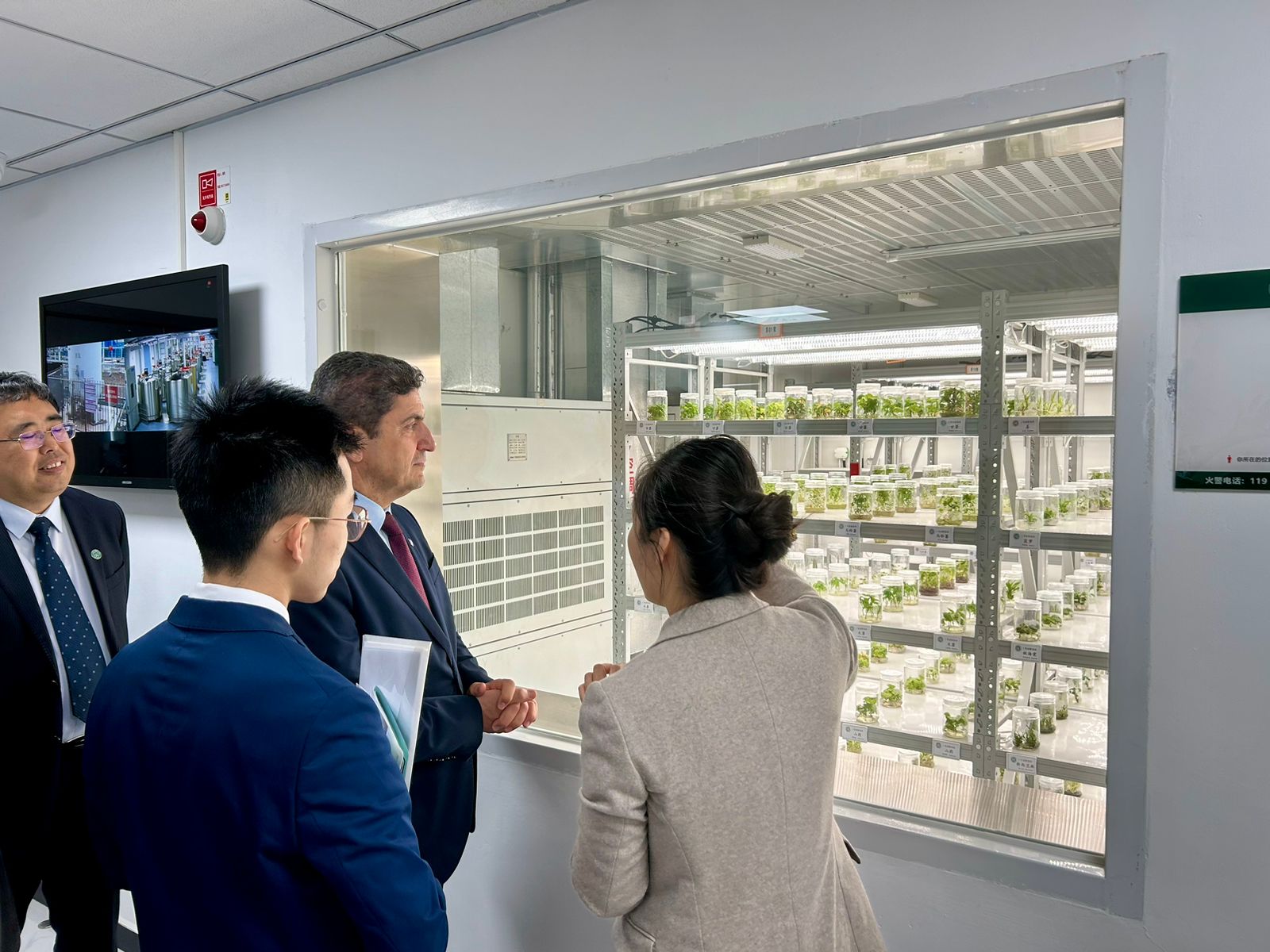 Αυγενάκης Κίνα