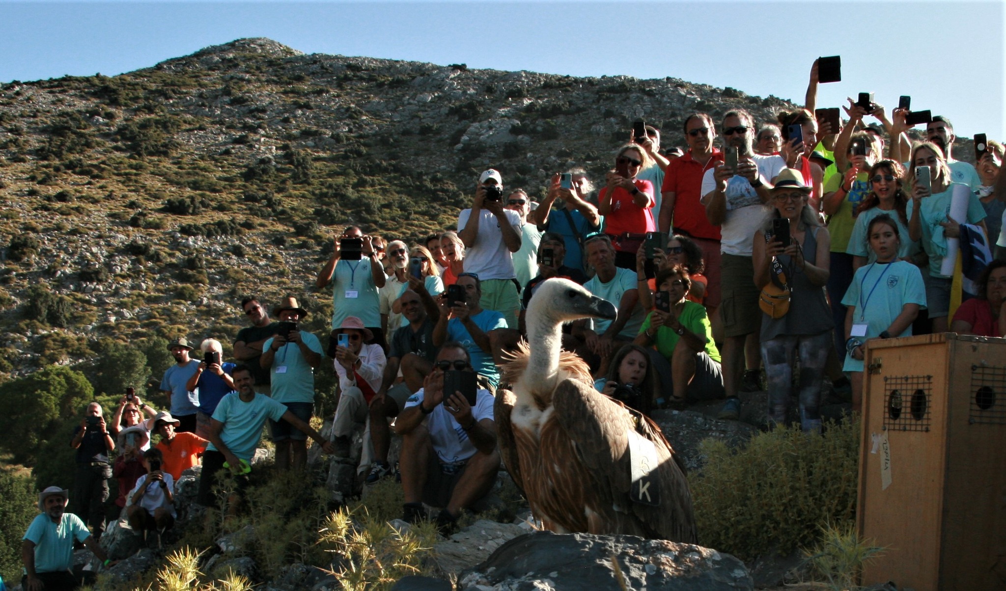 ορειβατικος