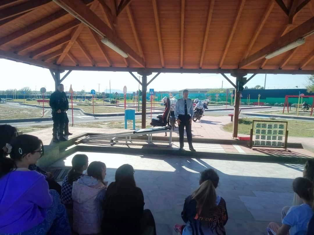 Κουνάβοι πάρκο