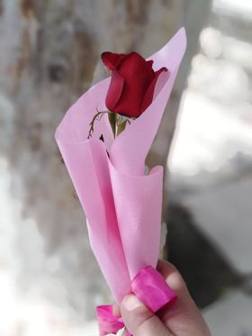 γιορτή μητέρας