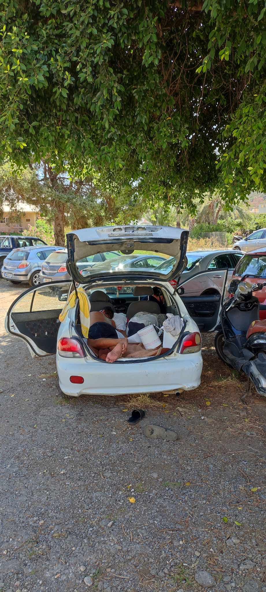 καταυλισμος