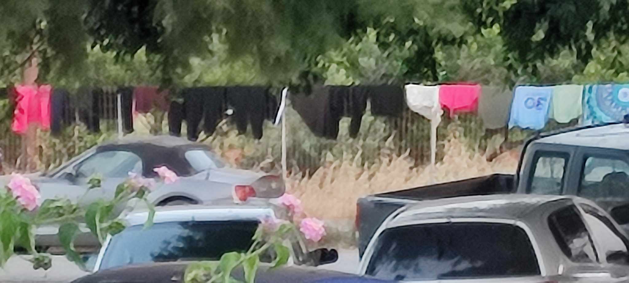 καταυλισμος